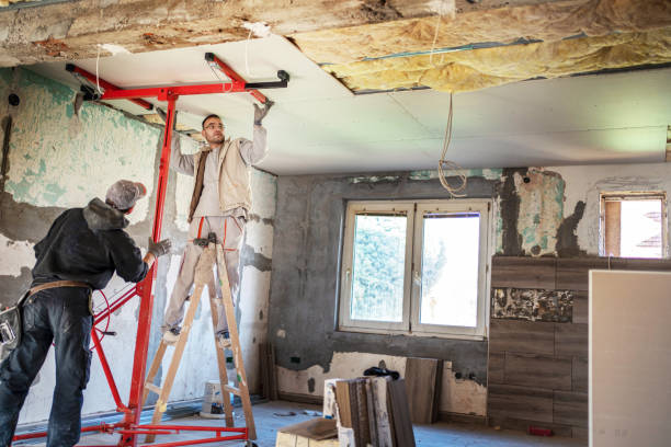 Best Eco-Friendly Insulation in Escondido, CA