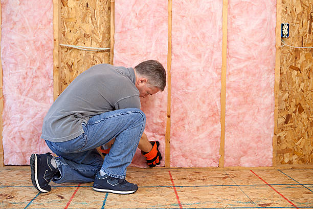 Best Cellulose Insulation in Escondido, CA