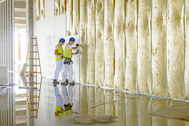 Best Spray Foam Insulation in Escondido, CA